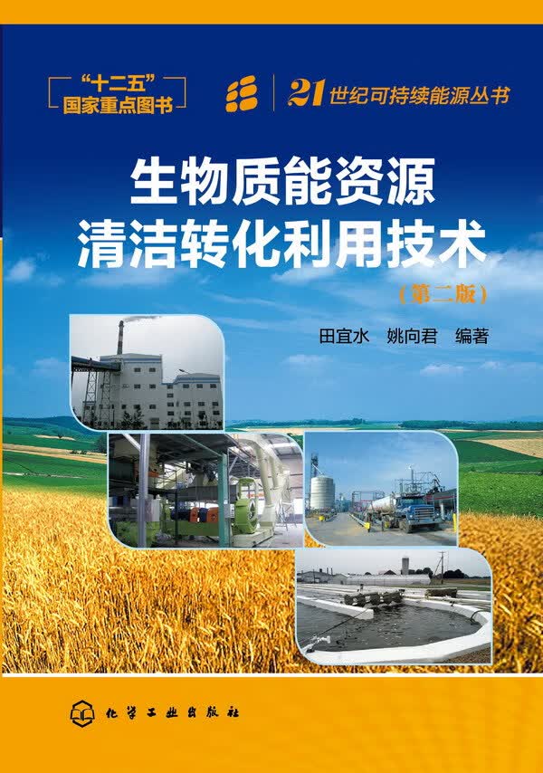 生物质能资源清洁转化利用技术(第二版)田宜水、姚向君 编著 21世纪可持续能源丛书