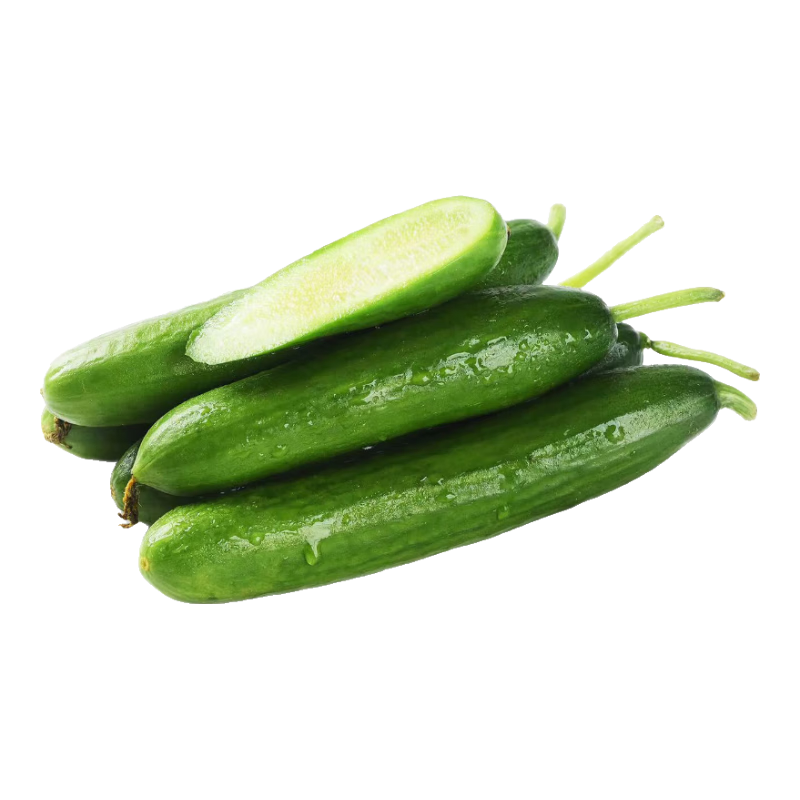 ɽ��ˮ���ƹ� 2�� ���� ����պ�������߲� ���ʴ��� 7.9Ԫ