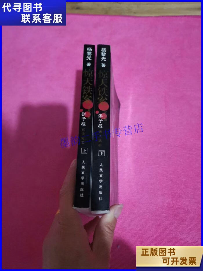 惊天铁案(上下) 人民文学出版社二手书