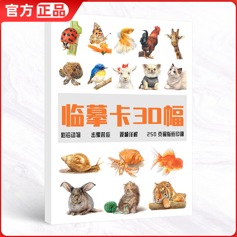 彩铅动物临摹卡30幅 高清卡片彩色铅笔手