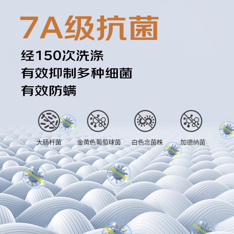 AB内衣男女情侣纯棉圆领基础保暖套装秋衣秋裤打底抗菌全棉内 (女)玫红 2XL
