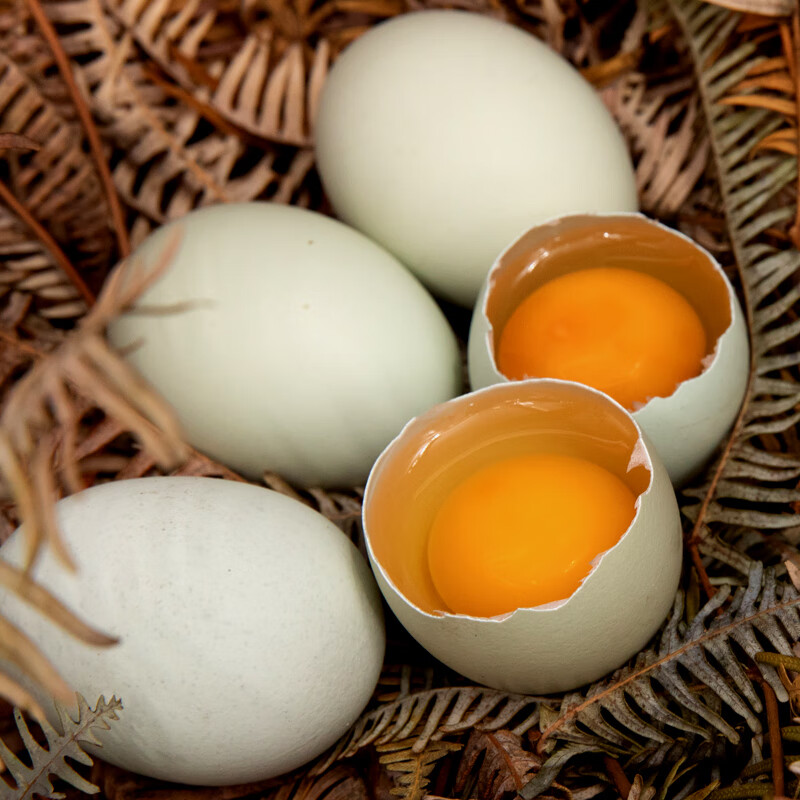 葛溪正太 富硒绿壳无公害鲜鸡蛋 乌鸡蛋笨鸡蛋 富硒有机绿壳蛋10枚