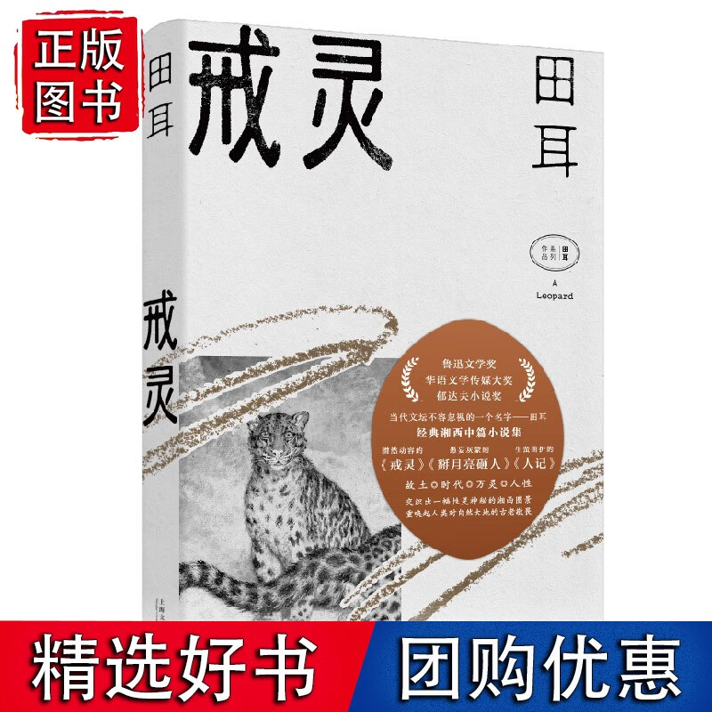戒灵（田耳作品）