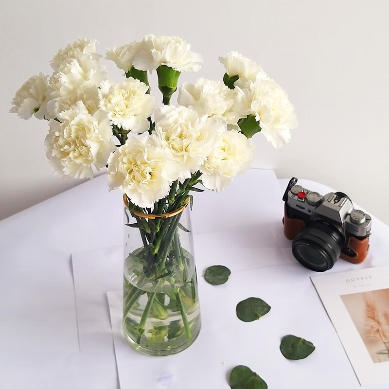 康乃馨鲜花基地直发每周一花水养插花瓶送老婆生日礼物 白色康乃馨18