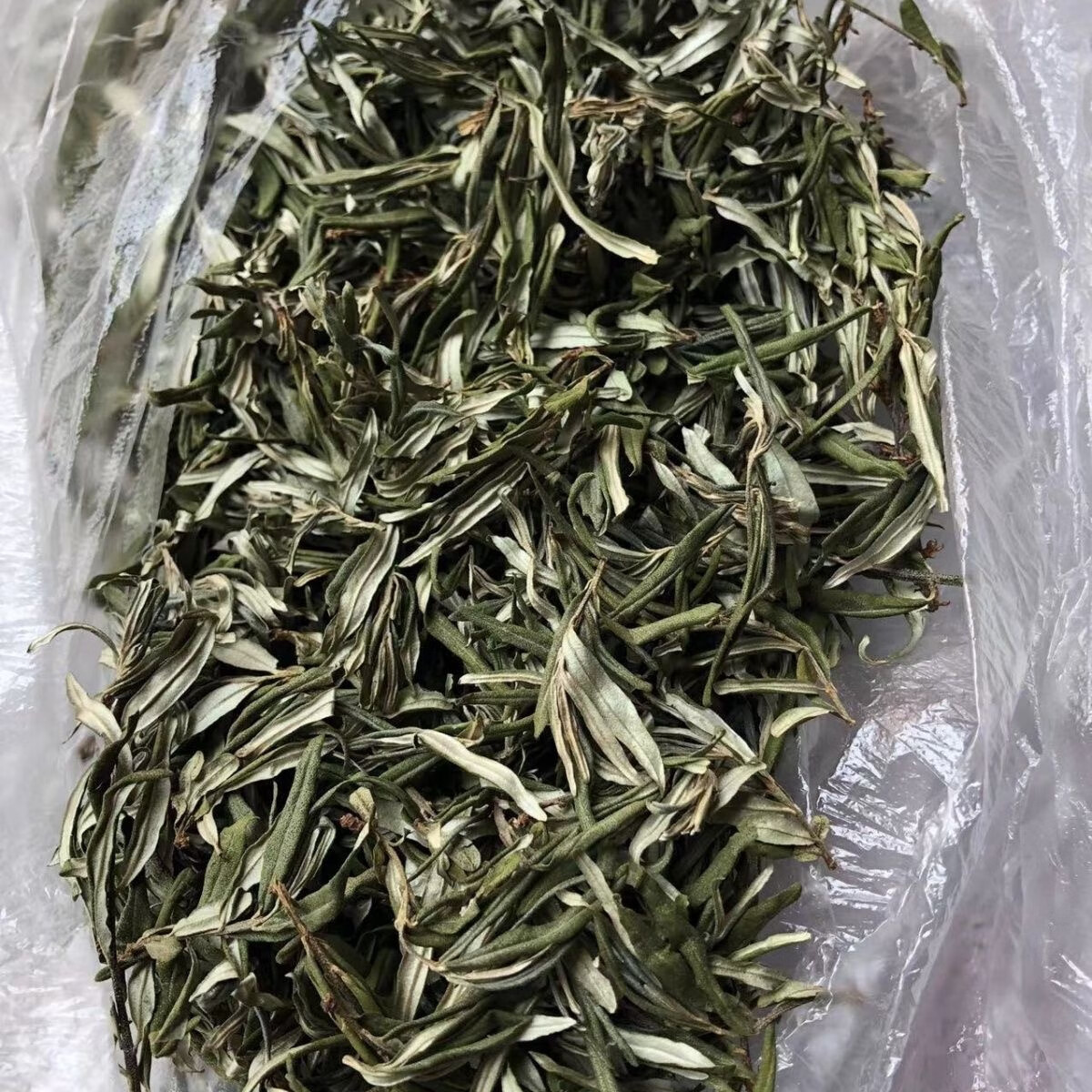 棘山红正宗沙棘叶茶 养生茶饮 精选沙棘嫩叶礼盒装50g*5罐 新茶好茶红茶 礼盒50g*5盒