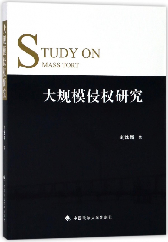 大规模侵权研究