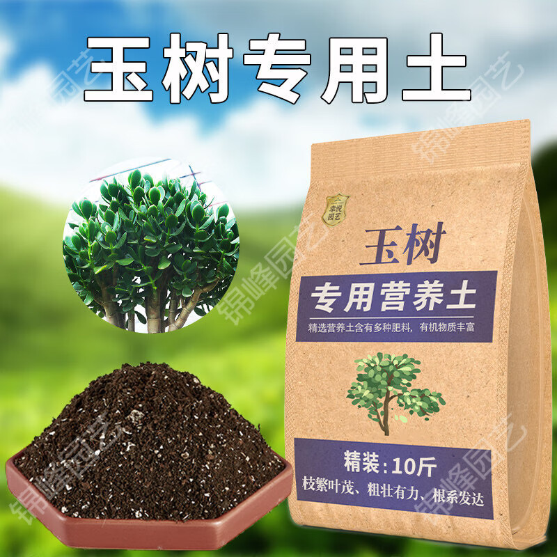 根系 相关京东优惠商品推荐降序排行榜 价格图片品牌优惠券 虎窝购