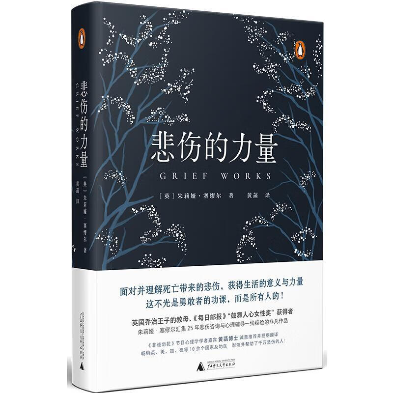 新民说 悲伤的力量 [英]朱莉娅·塞缪尔,黄菡 9787559811998【正版图书】属于什么档次？