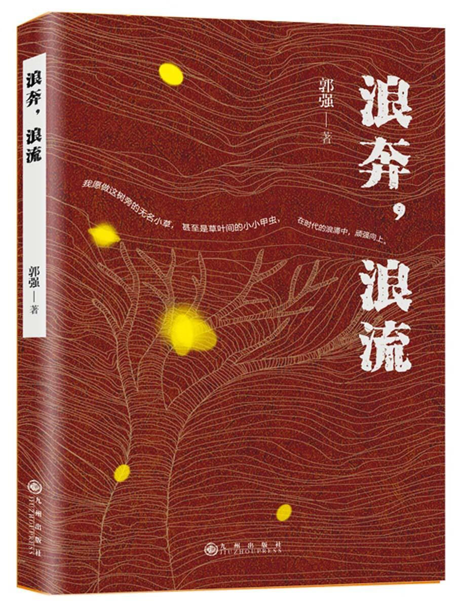 正版现货 浪奔,浪流9787510876073 九州出版社