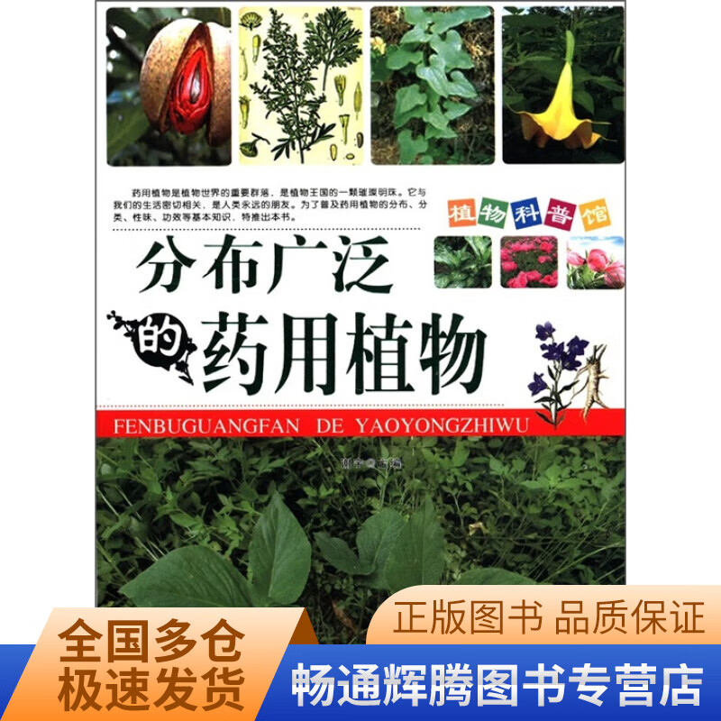 分布广泛的药用植物【现货】 pdf格式下载