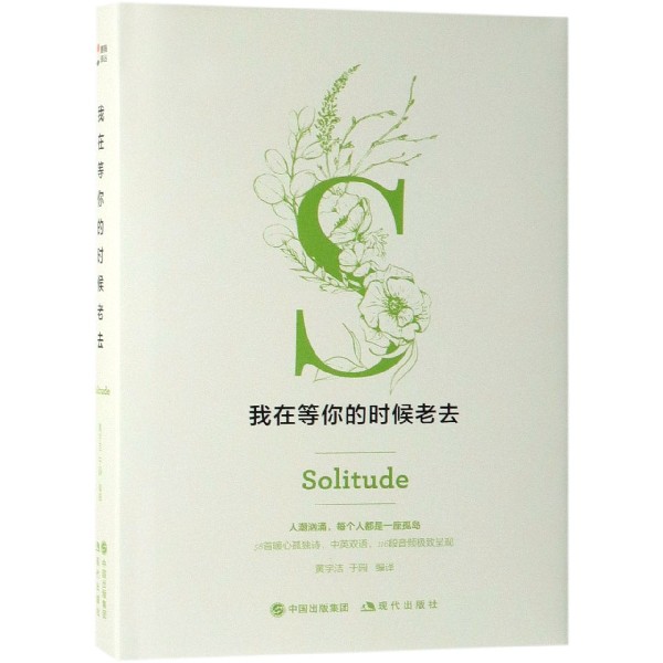我在等你的时候老去(精)