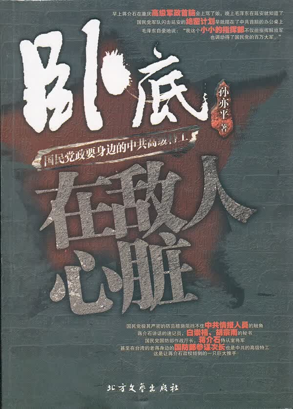 卧底在敌人心脏【正版现货】