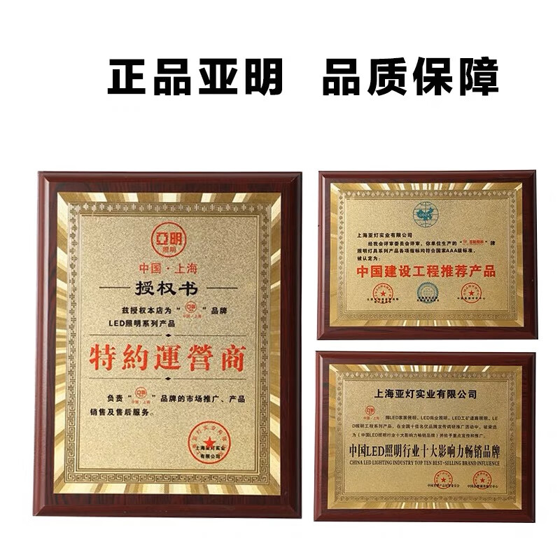 亚明上海亚明金豆led路灯200w户外照明灯50瓦户外道路灯具防水照明灯