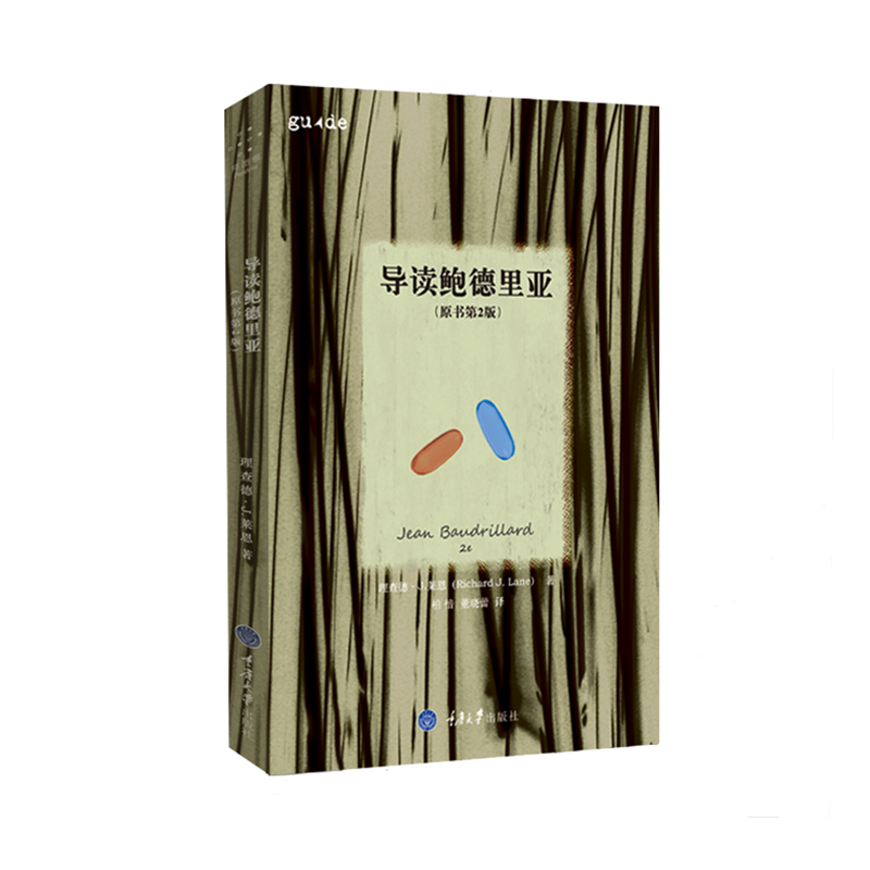 思想家和思想导读丛书：导读鲍德里亚（原书第2版）  理查德·J.莱恩 著   重庆大学