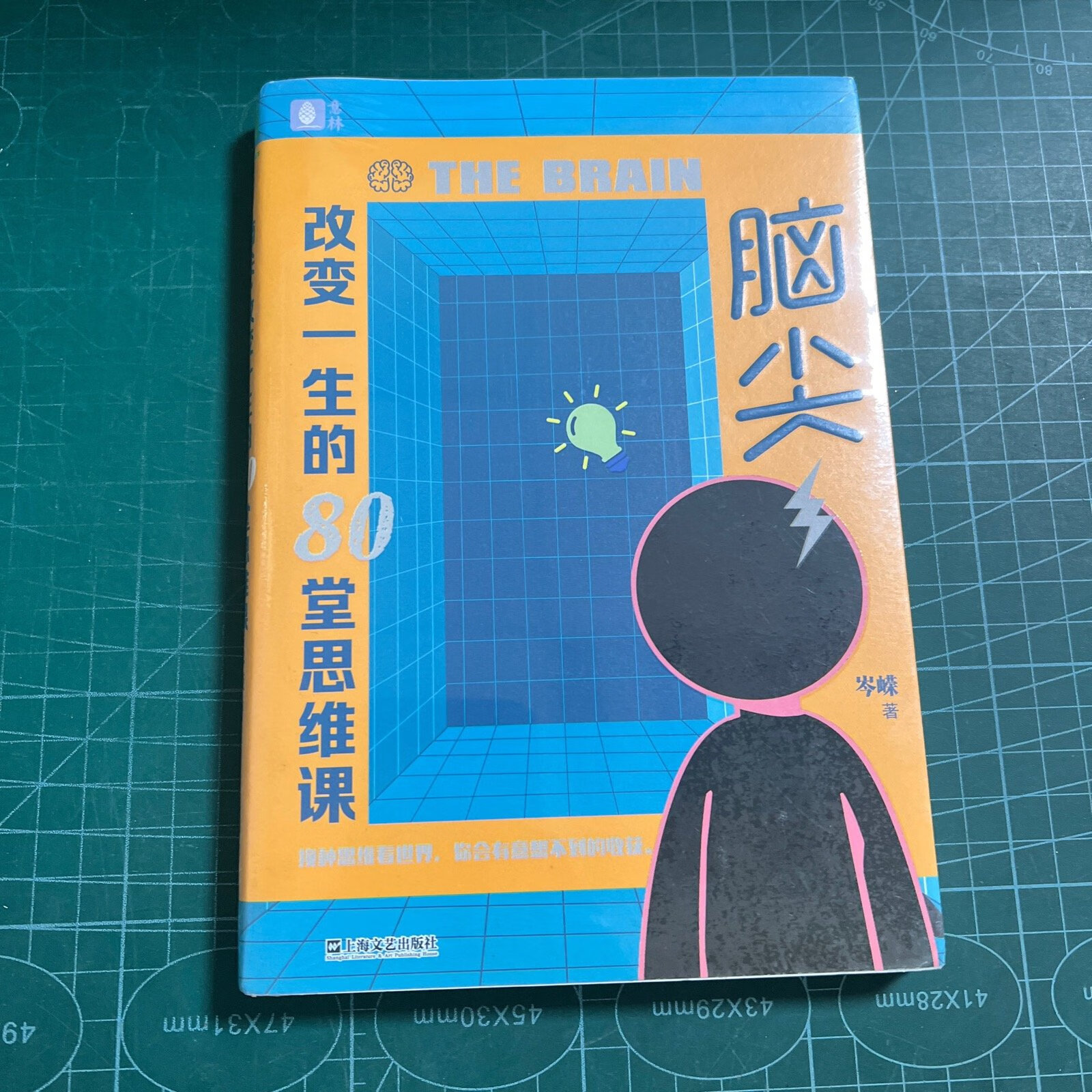 (旧书九成新)脑尖——改变一生的80堂思维课(隐藏在生活中的行为经济
