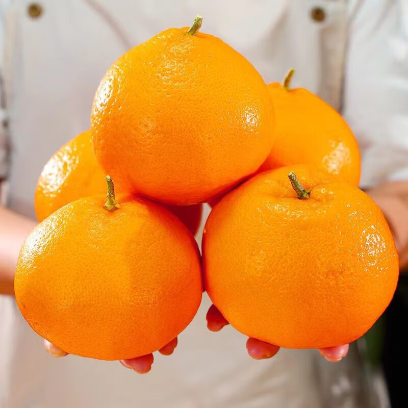 竹域四川春见耙耙柑大果粑粑柑丑橘水果新鲜橘子当季整箱 精选3斤