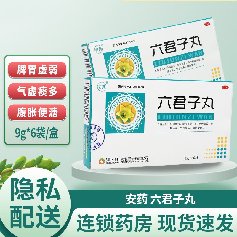 北京同仁堂六君子丸可选安药  六君子丸 9g*6袋补气补脾 燥湿化痰痰多