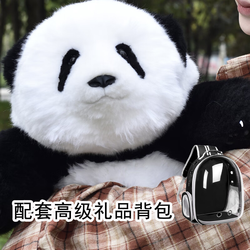 inborn star熊猫花花5月龄萌兰正版公仔仿真玩偶工厂生日礼物熊猫基地