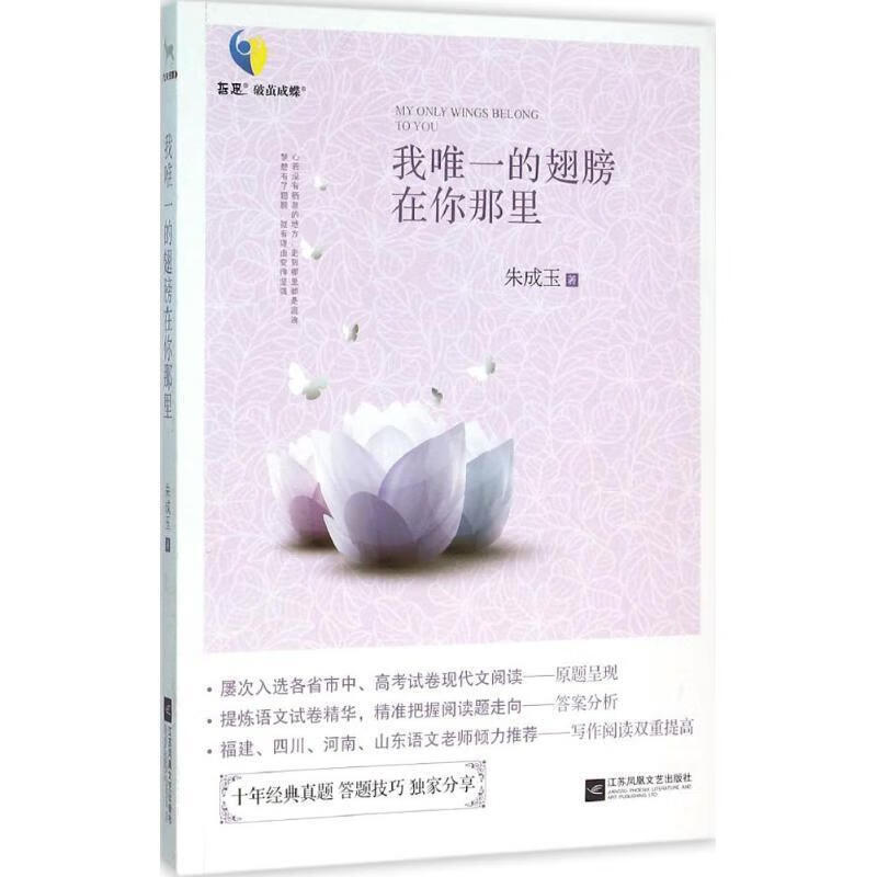 我专享的翅膀在你那里 朱成玉