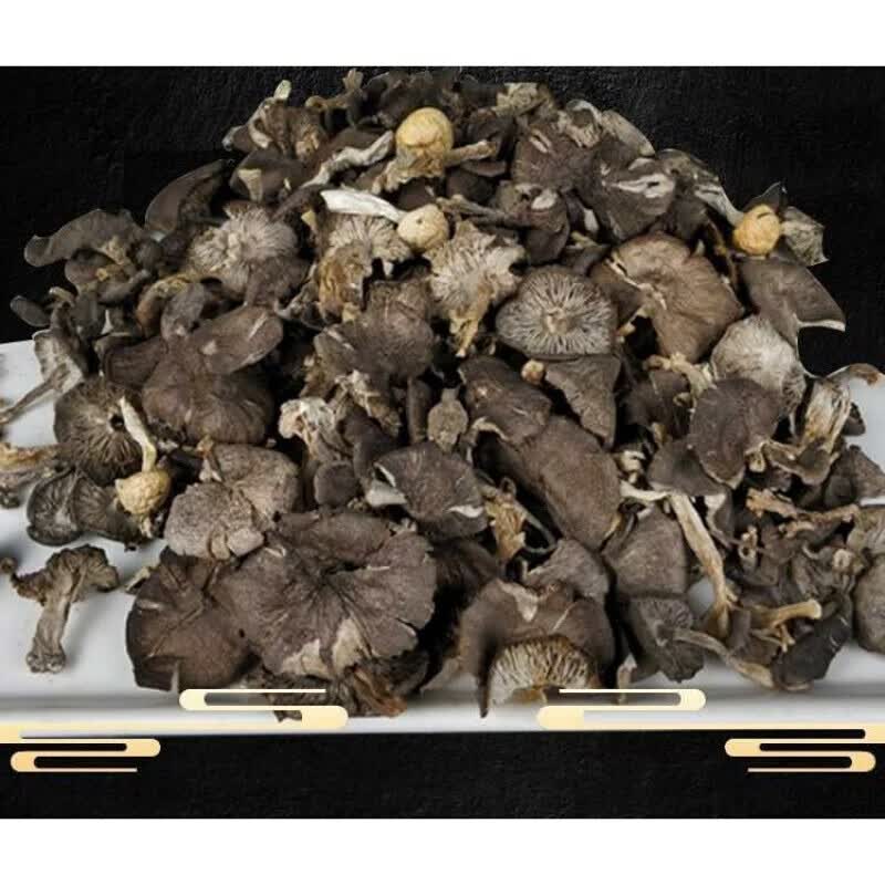 虎钢馋东北特产野生小灰蘑菇精品干货新鲜咸小灰蘑菇腌制无根小鸡炖