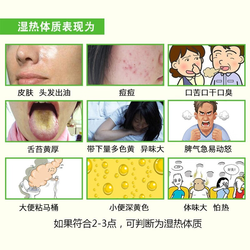 玖和健康荷香饮湿热体质调理茶荷叶竹叶蒲公英金银花茯苓祛去茶豆痘上火降