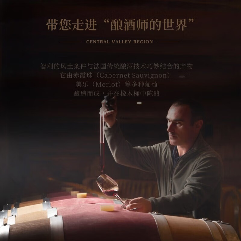 佳沃醇美汇【中央山谷核心产区】智利进口红酒干红葡萄酒整箱礼盒送礼【醒酒器自饮】灵魂三重奏六支装主图7