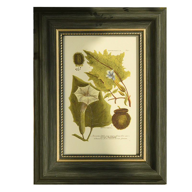 ����QIYU�� ŷʽ����̨5��A4����������Ƭ�Ҿ���� ������ 8��(��Ƭ15.3*20.4cm) 33.4Ԫ