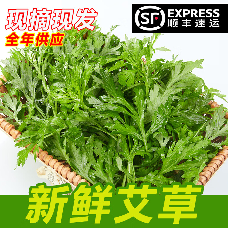 沣御园 艾草 新鲜艾草叶嫩艾叶 食用艾蒿蒿子青草团子食材 500g