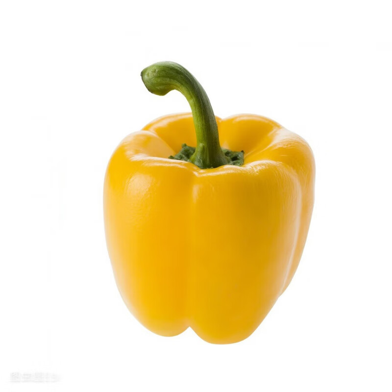 澈鑫驰五彩椒甜椒种子七彩椒种籽农家七彩菜椒食用盆栽四季蔬菜 凯蒂