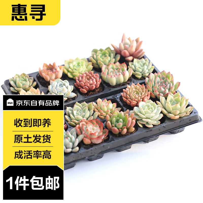 京东新品首发 2023-09-14 - 第24张  | 最新购物优惠券