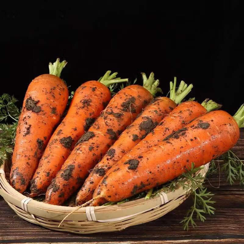 乡语小吖新鲜胡萝卜 2斤 现挖带泥脆甜生吃萝卜产地直发 新鲜蔬菜