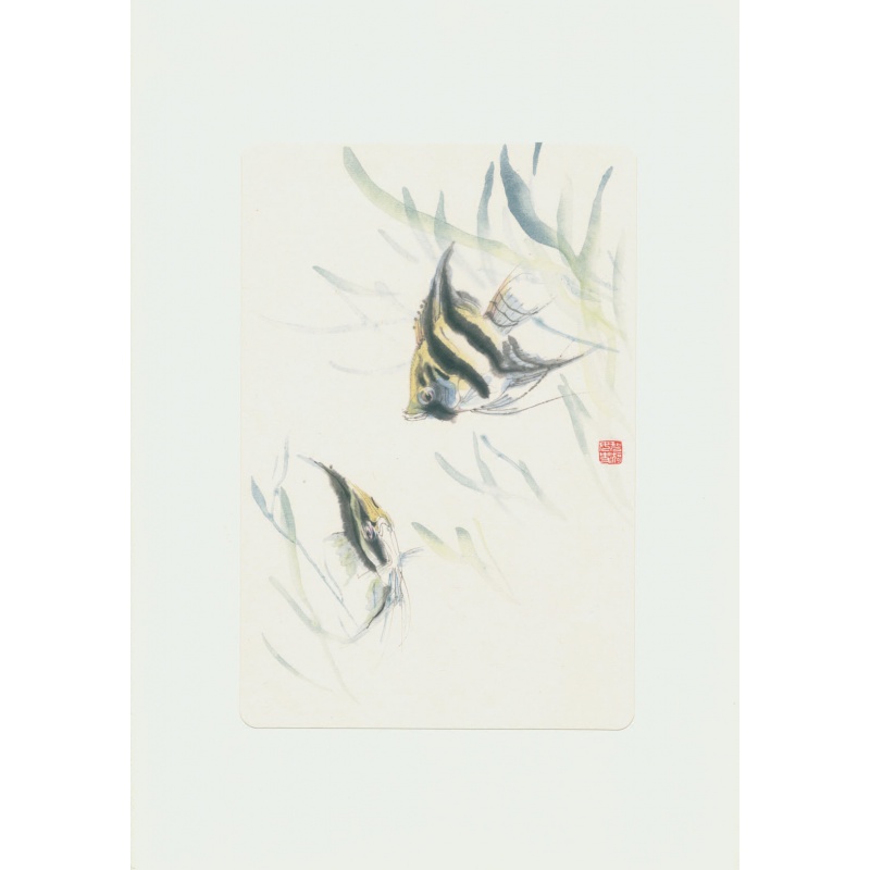 【朵云轩木版水印】侯碧漪 神仙鱼 现代国画小品 国画装饰画收藏 27*
