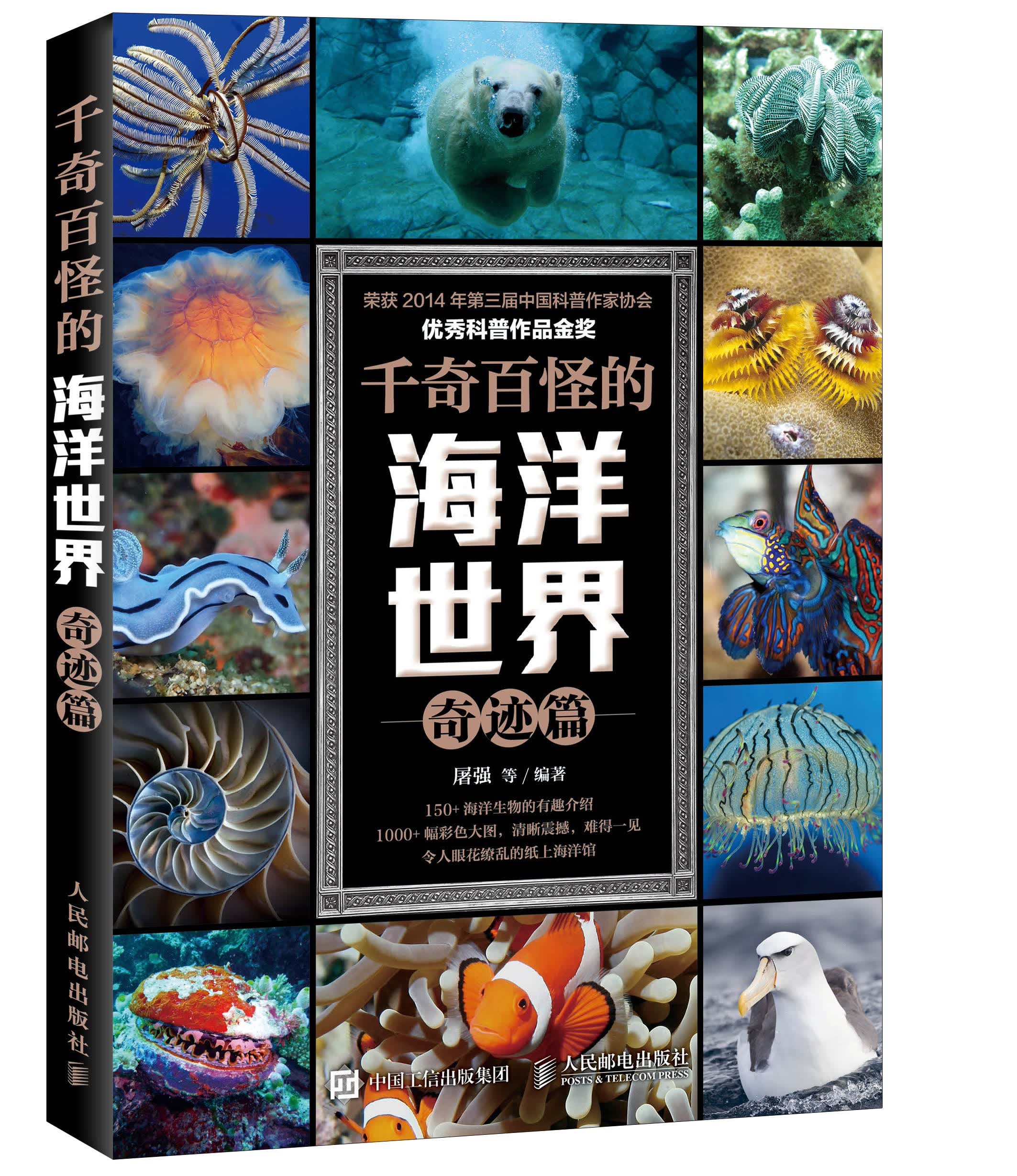 千奇百怪的海洋世界 奇迹篇