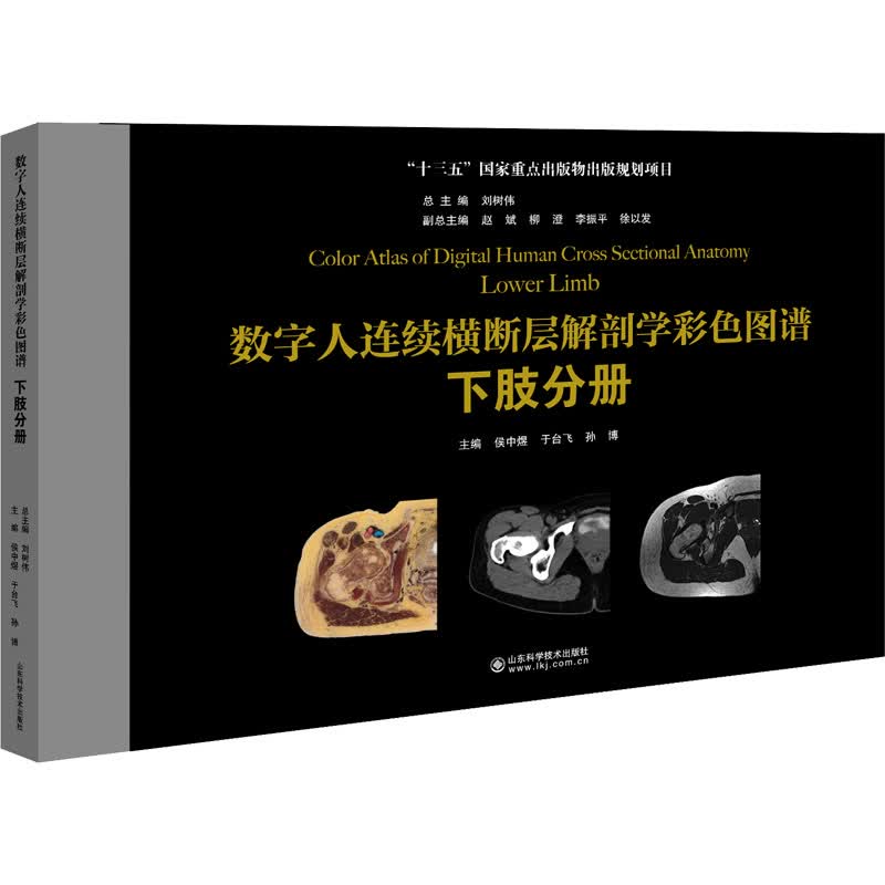 数字人连续横断层解剖学彩色图谱 下肢分册