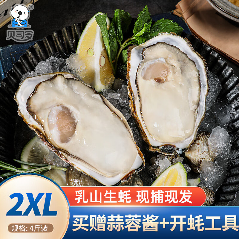 贝司令【活鲜】鲜活乳山生蚝2XL号 单只120g起 净重2kg 13-17只装 箱装怎么看?