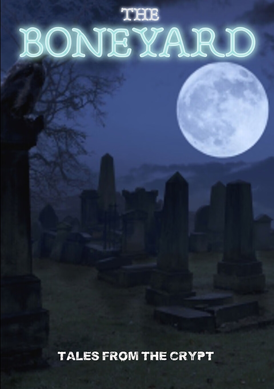 预售 按需印刷 the boneyard