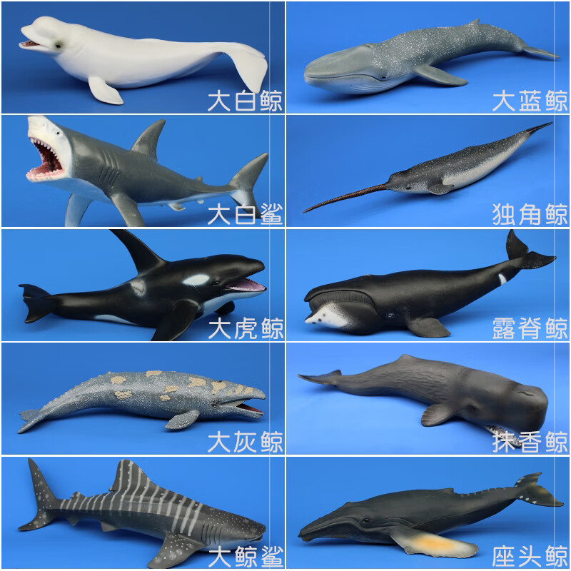 儿童玩具海洋世界鲸鱼模型仿真动物鲨鱼套装男孩认知礼物塑胶摆件 抹香鲸组合【十件套】