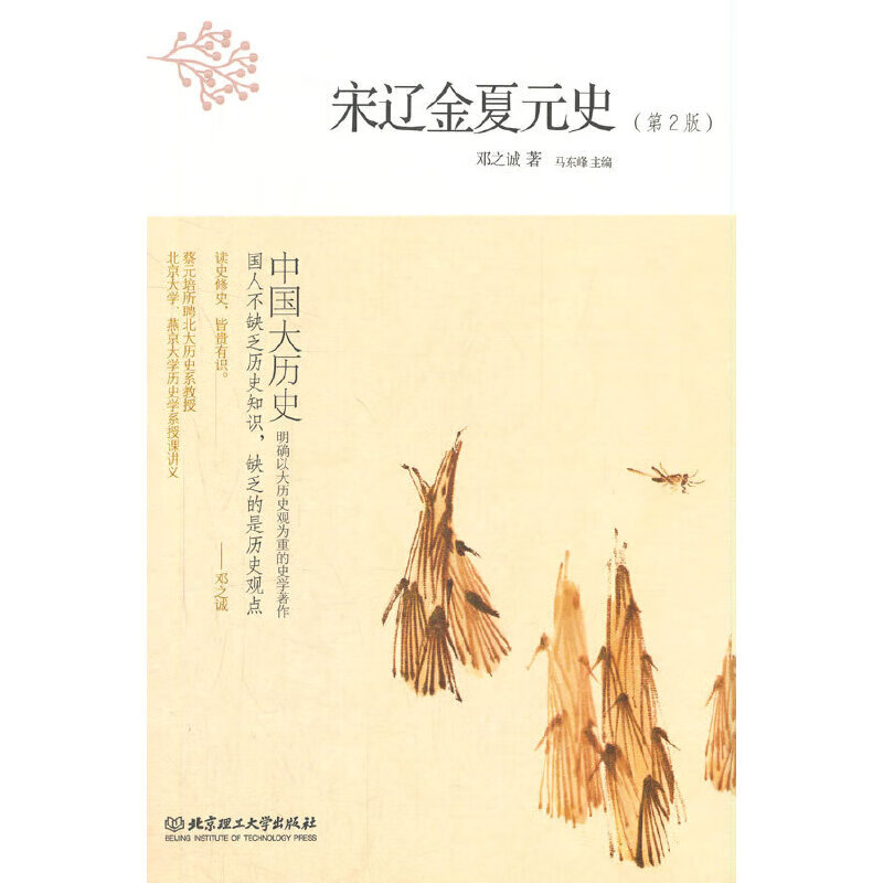 中国大历史——宋辽金夏元史（第2版）