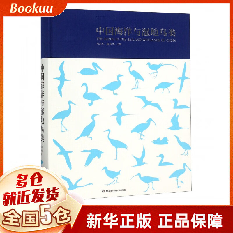中国海洋与湿地鸟类(精)