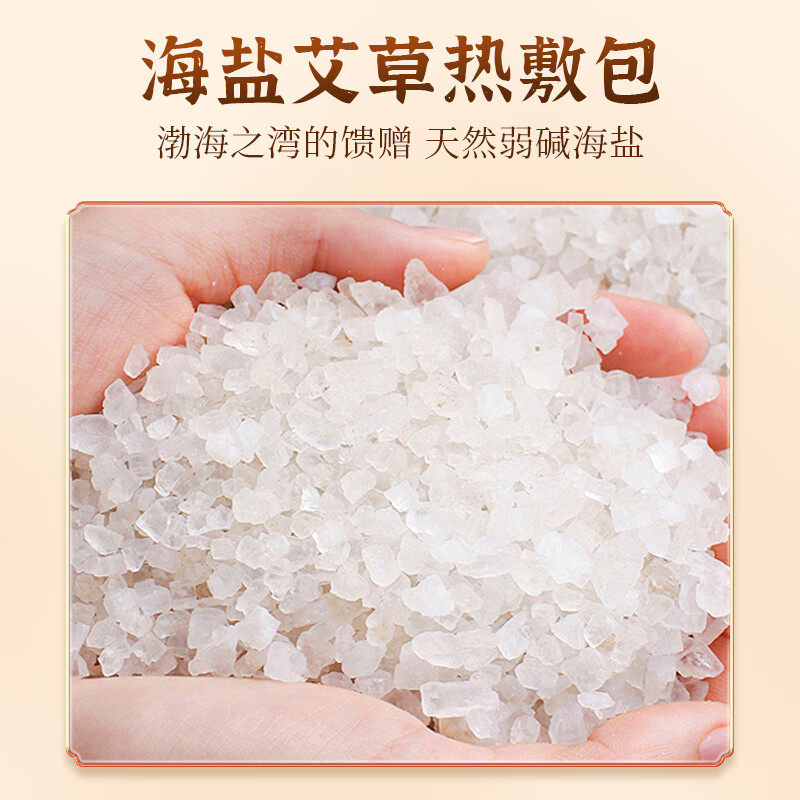 中稳堂 母亲节礼物电热海盐护膝海盐包盐袋粗盐热敷包电加热理疗膝盖加热护膝海盐热敷袋理疗袋珊瑚蓝护膝款