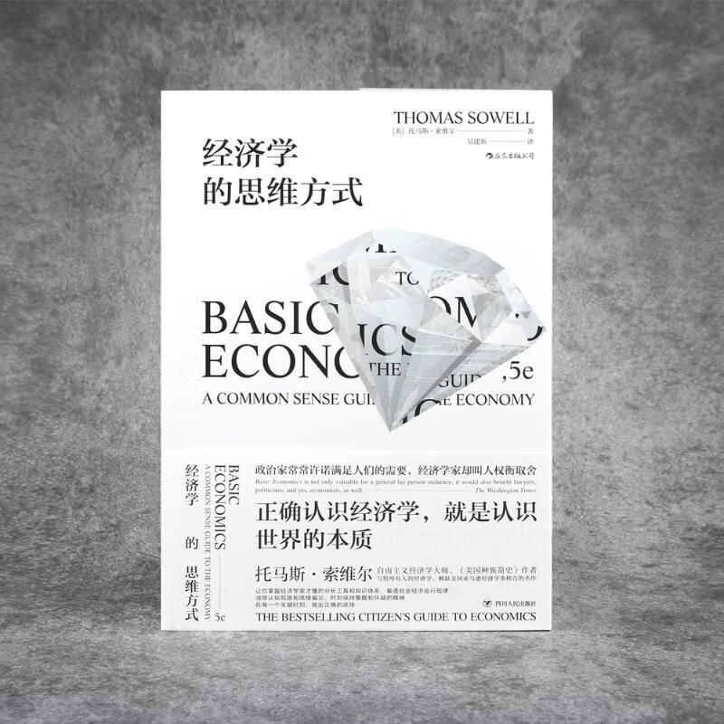 经济学的思维方式 图书