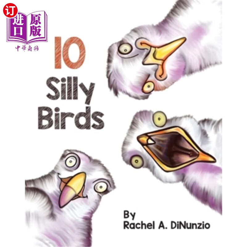 海外直订silly birds 傻鸟