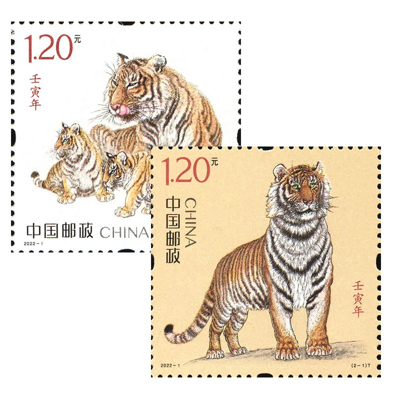 老虎邮票漫画图片