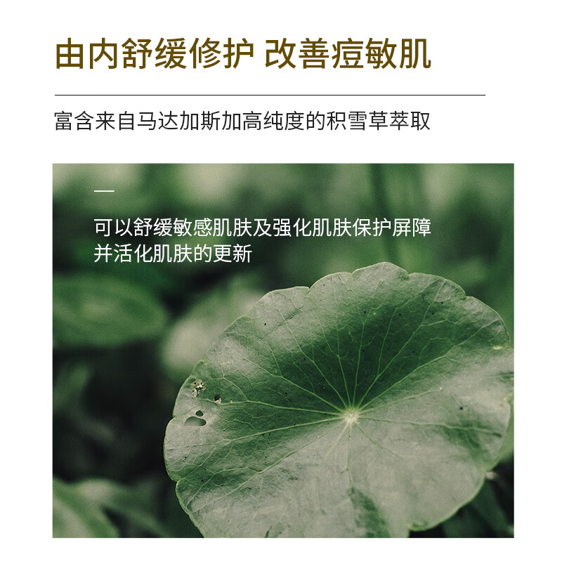 SKIN1004理肤天使积雪草修护精华舒缓补水精华液100ml