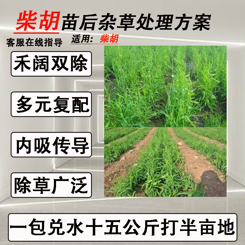 叶露旺·耕柴胡除草剂柴胡苗后专用除草剂禾阔双除 一包