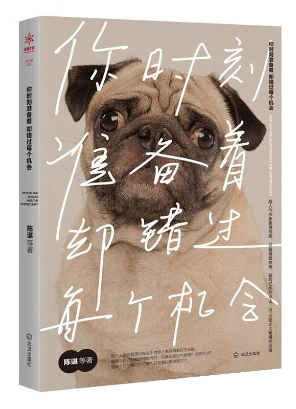 你时刻准备着 却错过每个机会 陈谌 武汉出版社