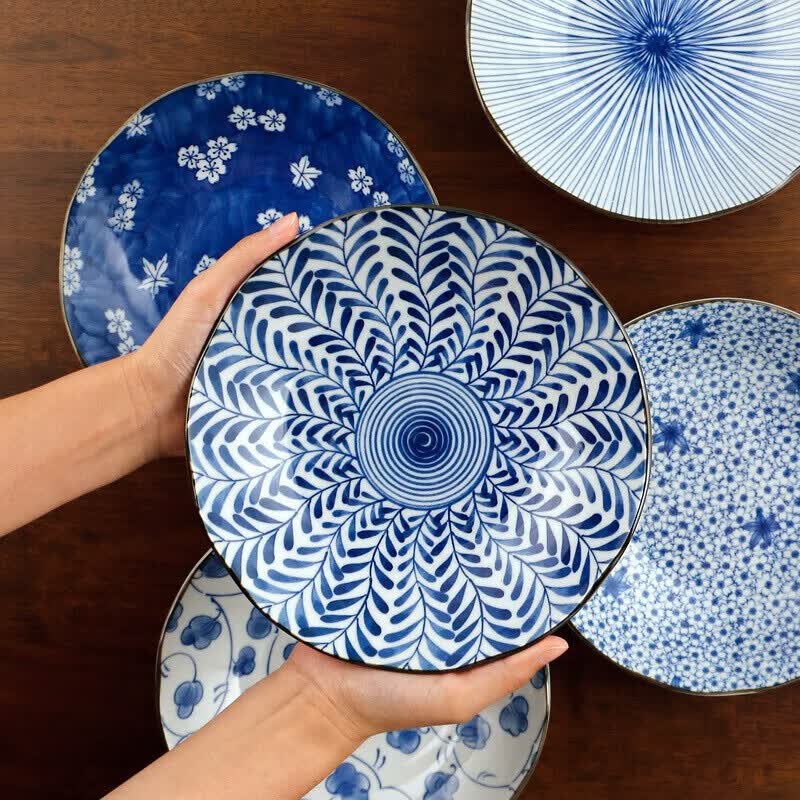 美浓烧 日本原装进口餐具 日式盘子家用釉下彩洗碗机可用8英寸餐盘 蓝绘盘5件套 8英寸