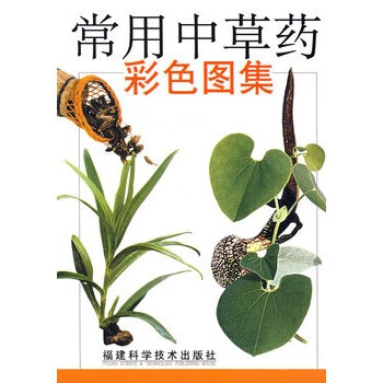 常用中草药彩色图集 华碧春,陈小峰,庄朝安编著【正版图书】