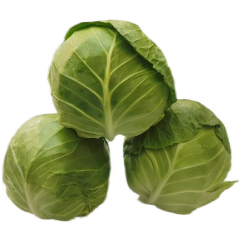 禧利郎农家甘蓝卷心菜包心菜莲花白蔬菜现摘现发应季蔬菜 5斤精选装