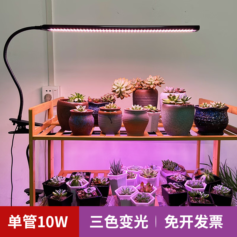 迈睿星全光谱led植物生长灯仿太阳光多肉花卉室内家用植物补光灯 1头循环定时usb接口